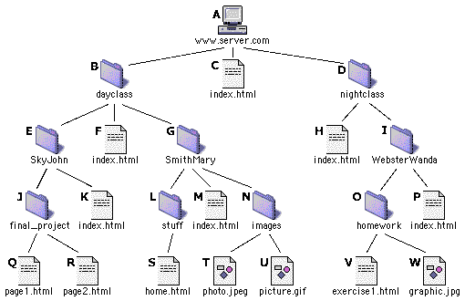 paths tree